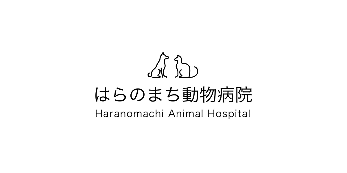 はらのまち動物病院 ハムスターの健康や病気 治療 手術について