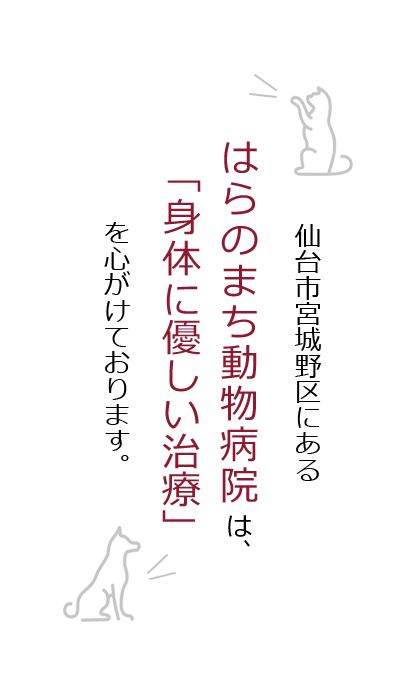 はらのまち動物病院